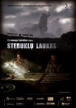 Stebuklų laukas_ukmergė